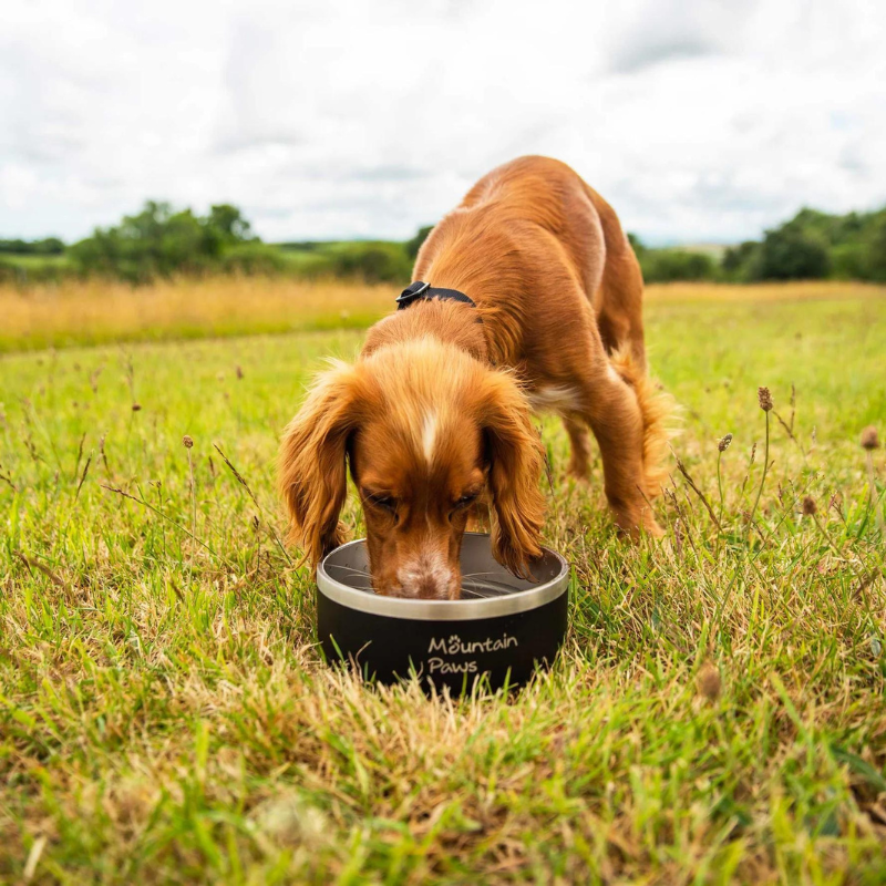 Dubenėlis šunims Mountain Paws Basecamp Dog Bowl