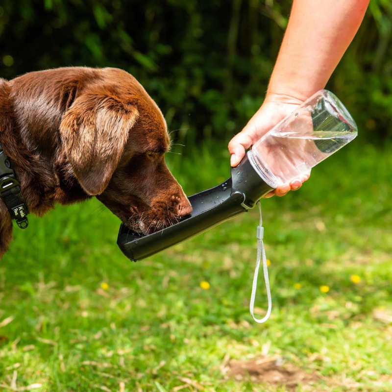 Šunų gertuvė Mountain Paws Folding Dog Water Bottle
Prekės kodas: 81016