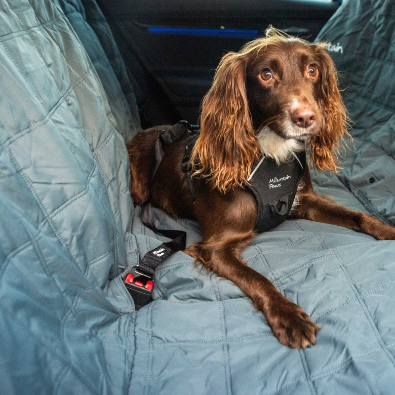 Šunų saugos diržas Mountain Paws Dog Seat Belt