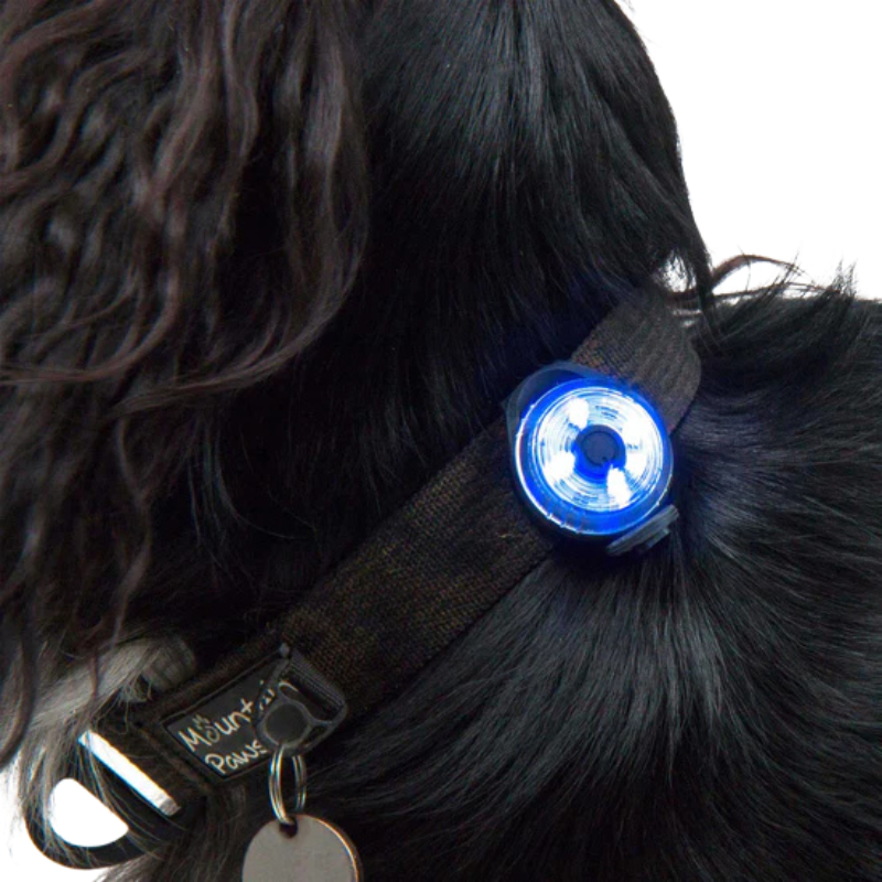 Lemputė gyvūnams Mountain Paws Dog Safety Light 2 Pack