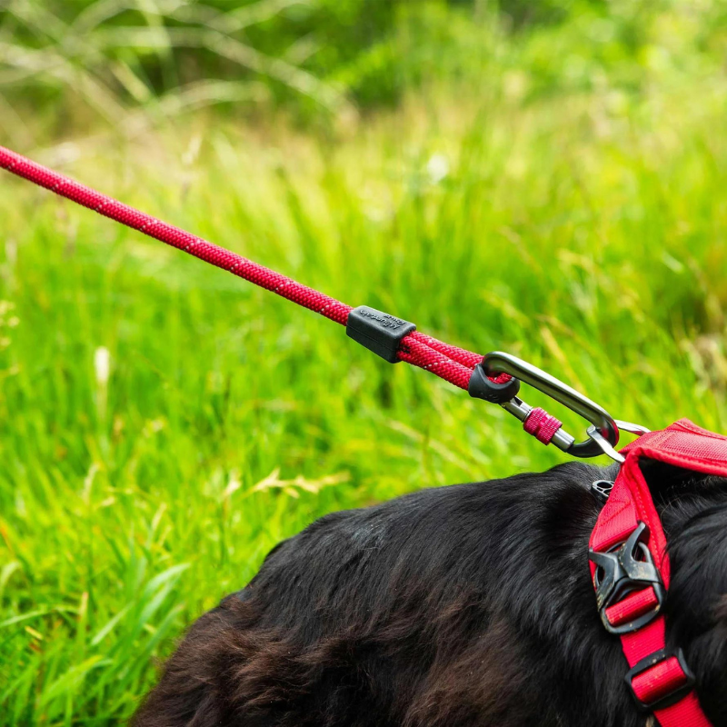 Šunų pavadėlis Mountain Paws Rope Dog Lead