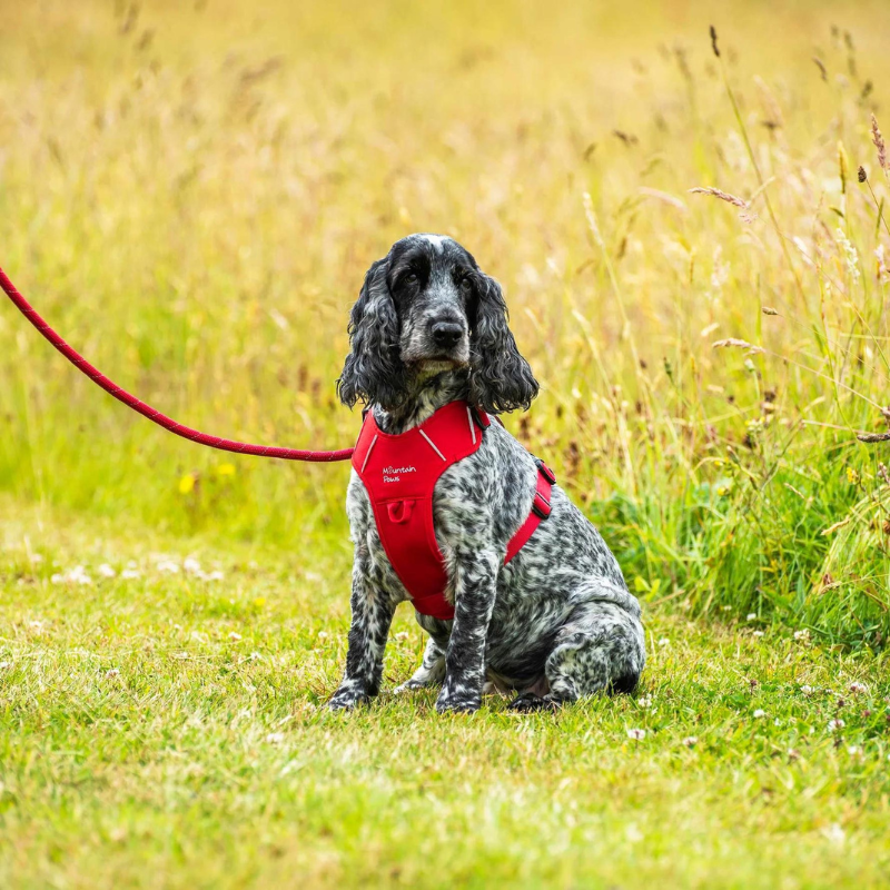 Šunų pavadėlis Mountain Paws Rope Dog Lead